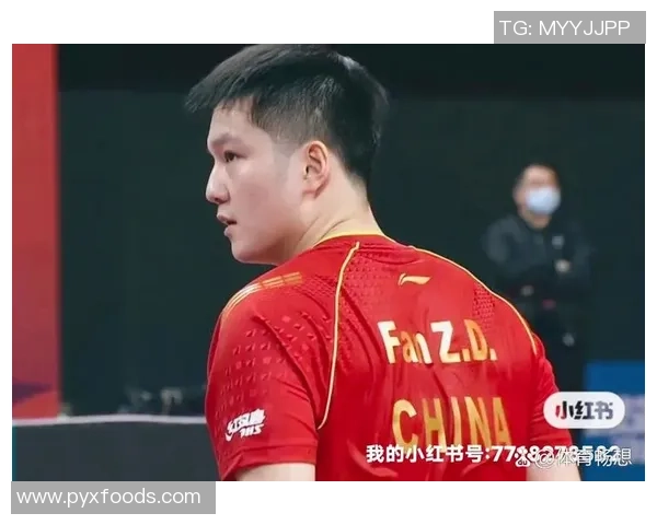 西安乒乓球队夺冠最新节奏榜单前十强全面解析